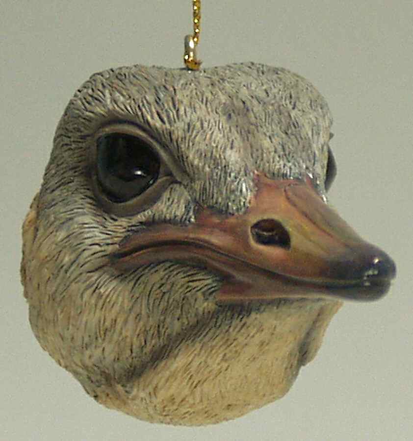 Resin Animal Ornaments Ostrich Head - No Box by Slavic Treasures-1