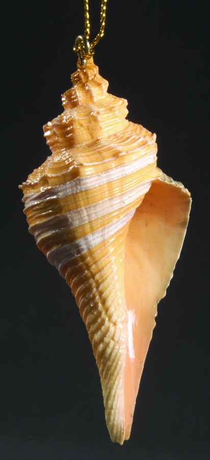 Resin Animal Ornaments Conch Shell - No Box by Slavic Treasures-1