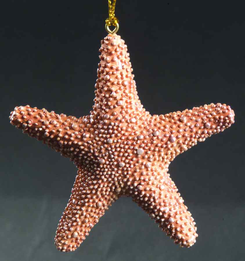 Resin Animal Ornaments Starfish - No Box by Slavic Treasures-1