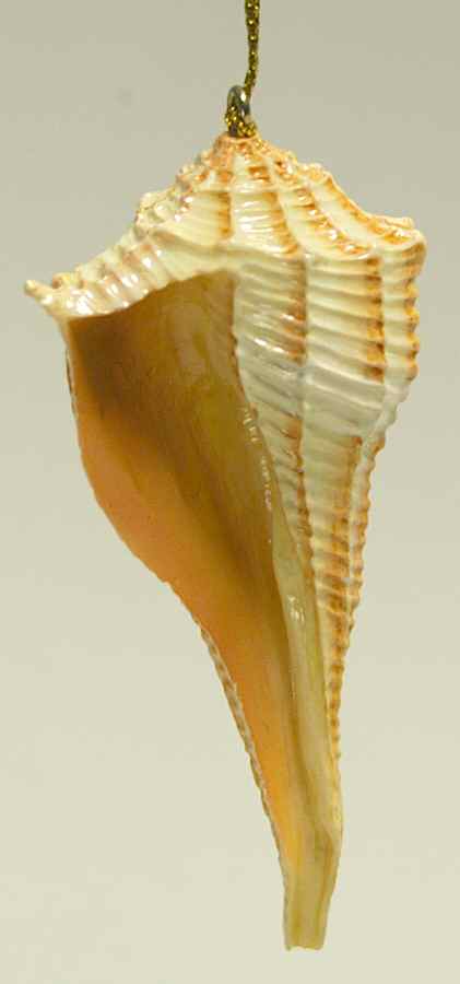 Resin Animal Ornaments Whelk Shell - No Box by Slavic Treasures-1