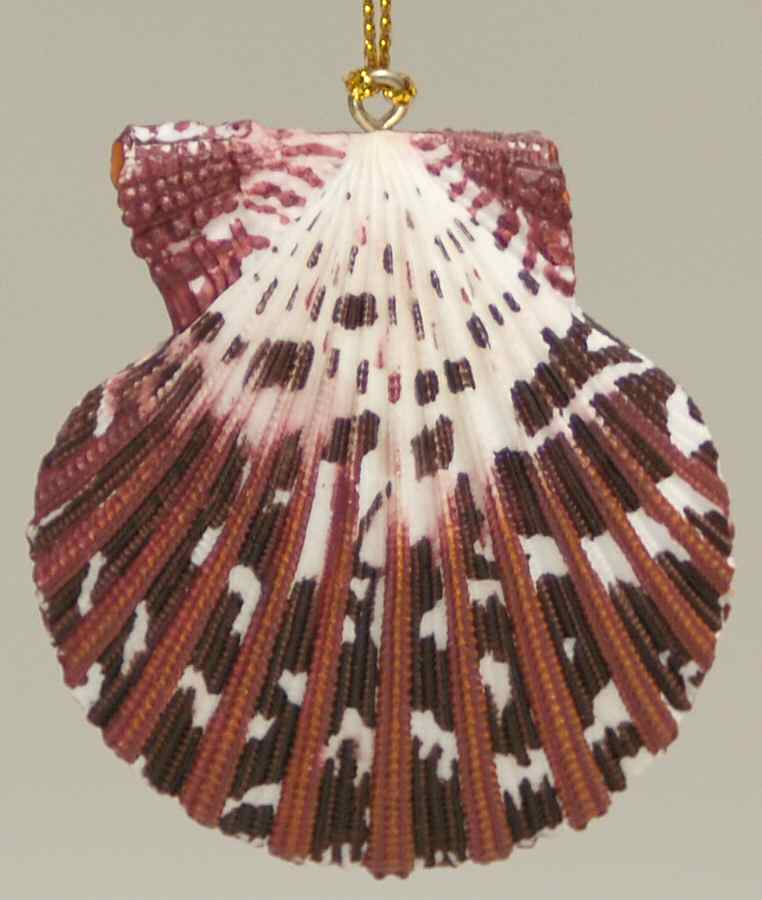 Resin Animal Ornaments Scallop Shell - No Box by Slavic Treasures-1
