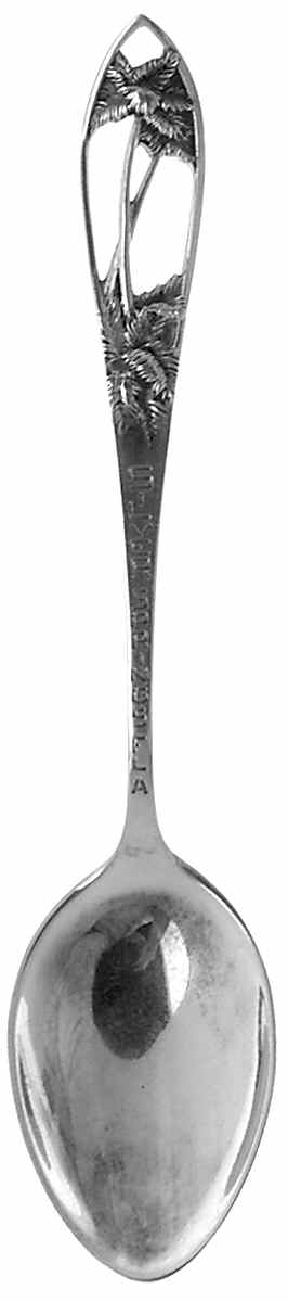 Florida Souvenir Spoon Silver Springs - No Box by Unknown Mfg Silver-1