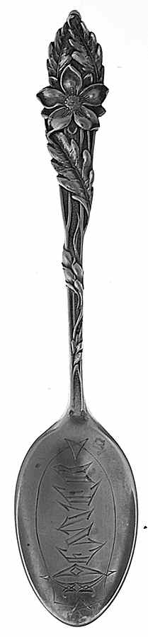 Colorado Souvenir Spoon Denver Co - No Box by Unknown Mfg Silver-1
