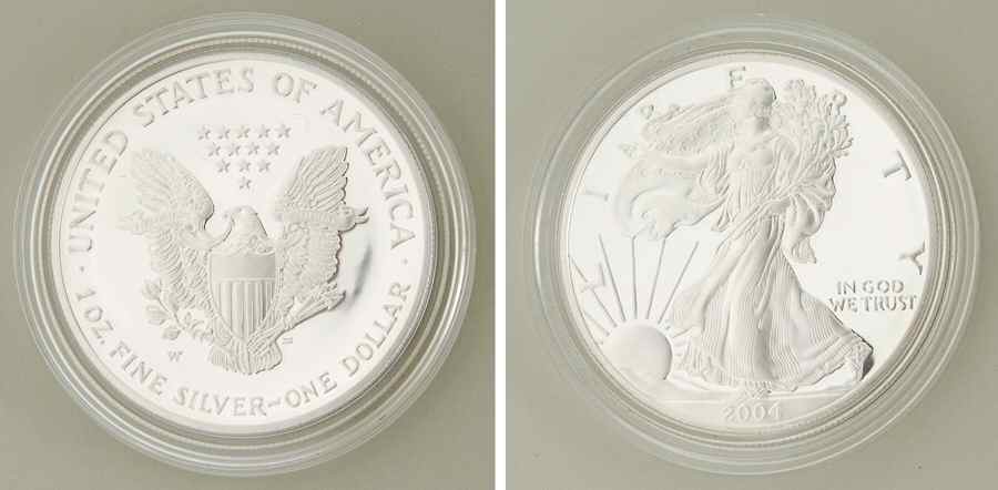 American Eagle American Eagle Proof - No Box by United States Mint-1