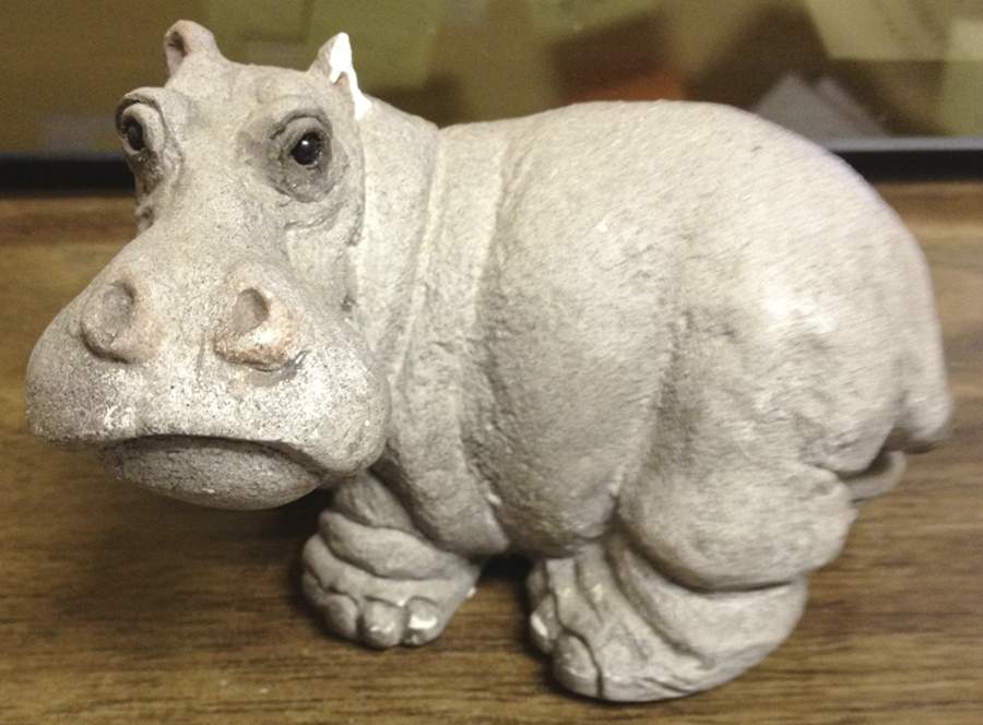 Natures Gallery Hippo - No Box by United Design-1