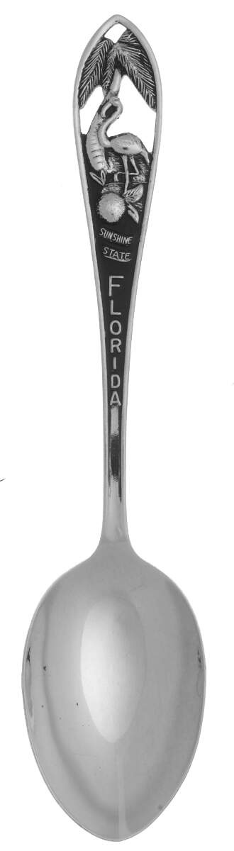 States and Cities Spoons(Silverplate Or Stainless) Florida, Sunshine State - No Box by Unknown Mfg Silver-1