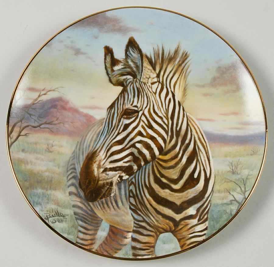 Nature's Harmony Zebra - Boxed by Vague Shadows-1