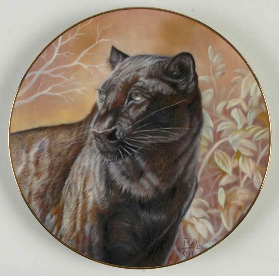 Nature's Harmony Black Panther - Boxed by Vague Shadows-1