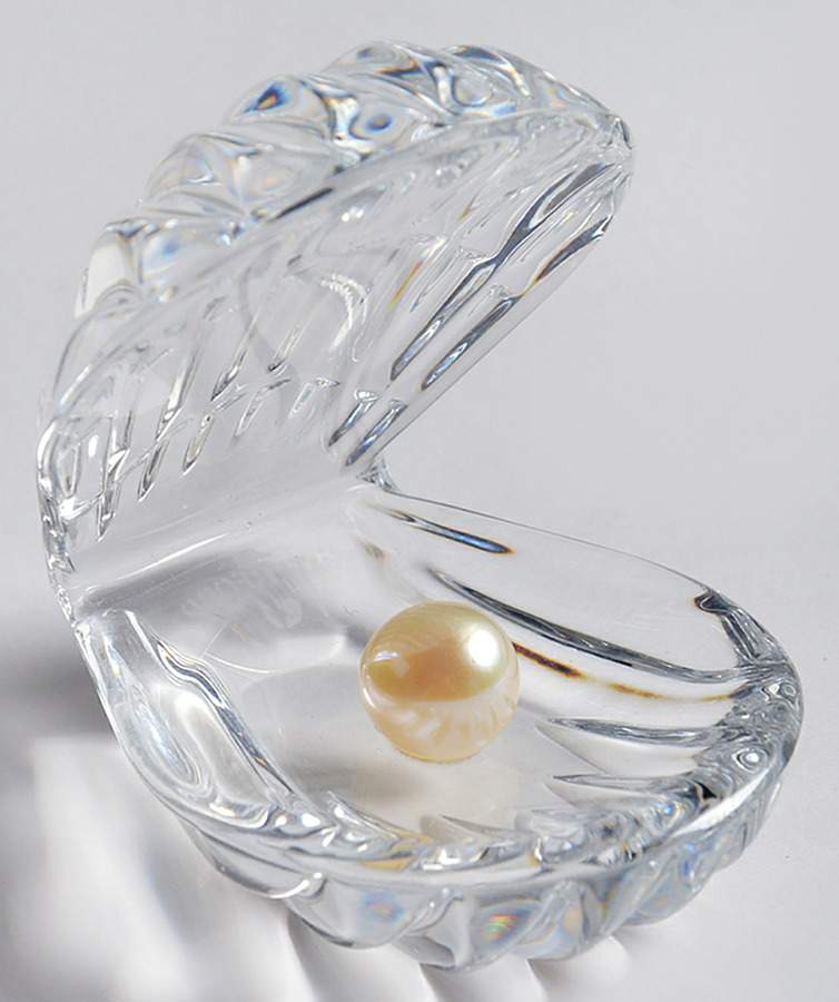 Treasures of The Sea Shell - With Box by Waterford Crystal-1