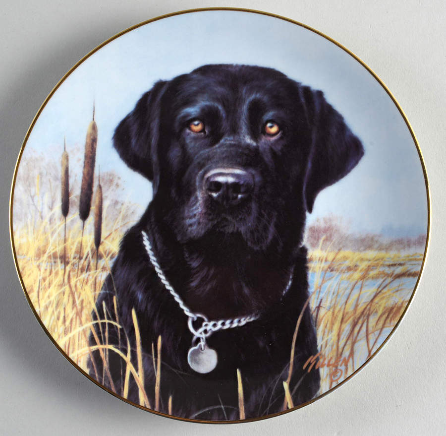 Great American Sporting Dogs Black Lab - No Box by Woodmere-1