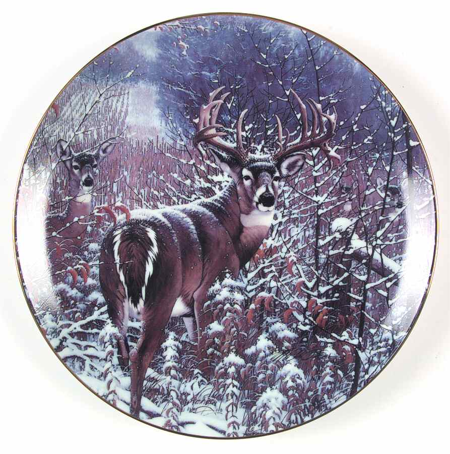 Wild Wings Dream Buck-Whitetail Deer - No Box by Wild Wings-1