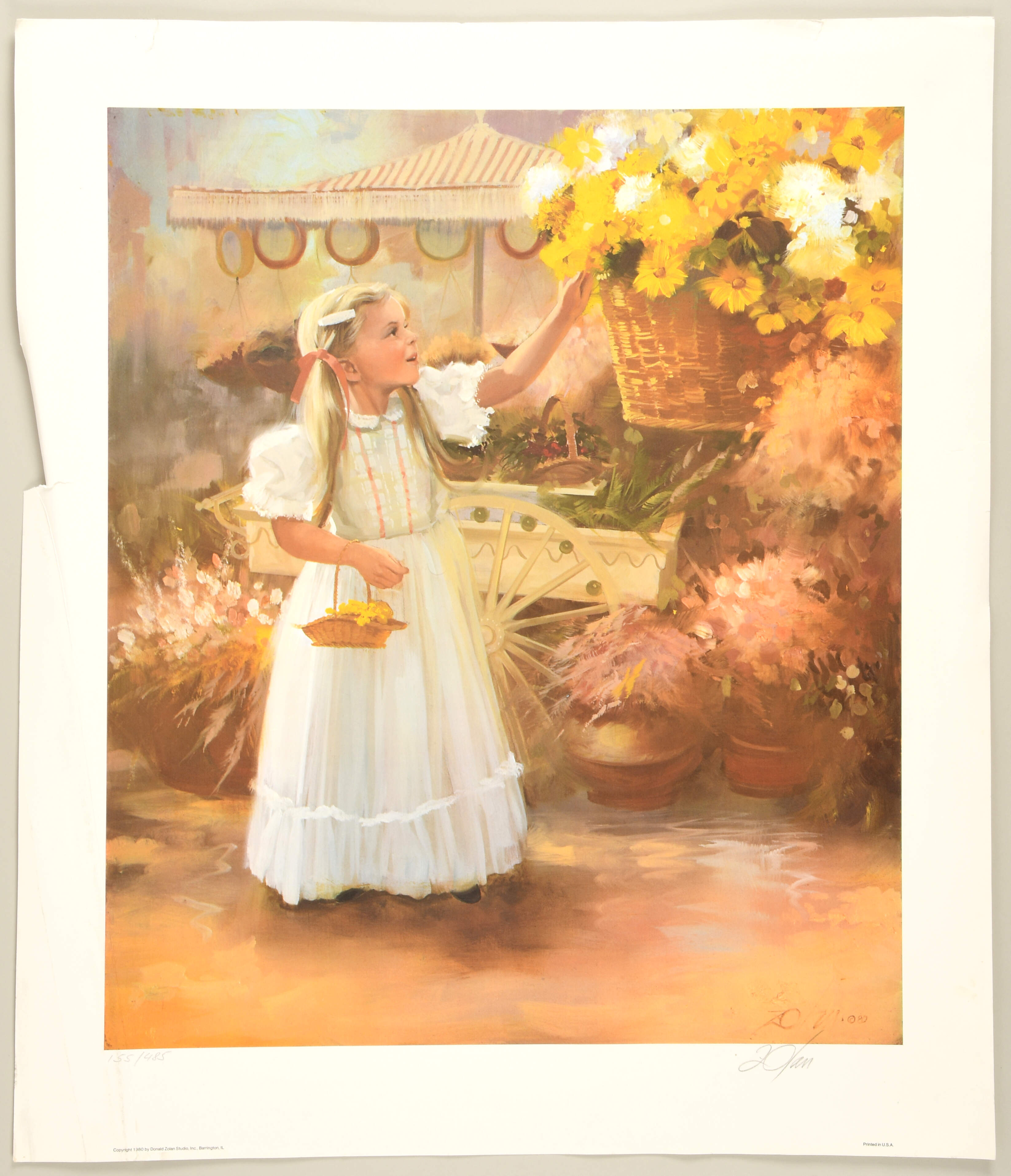 Donald Zolan Art Prints Sabine's Delight - No Box by Zolan Fine Art-1