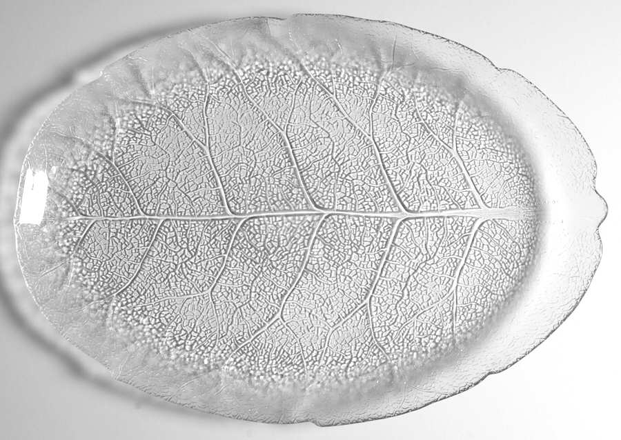 Aspen 13" Oval Platter by Arcoroc-1