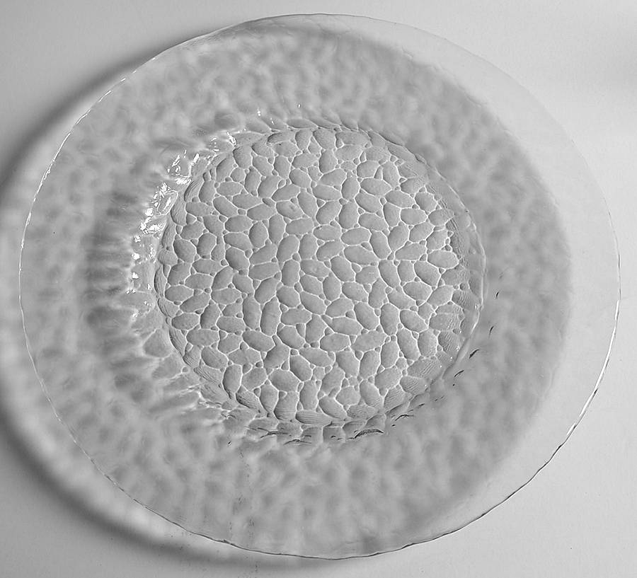 Vercors  Clear Dinner Plate by Arcoroc-1