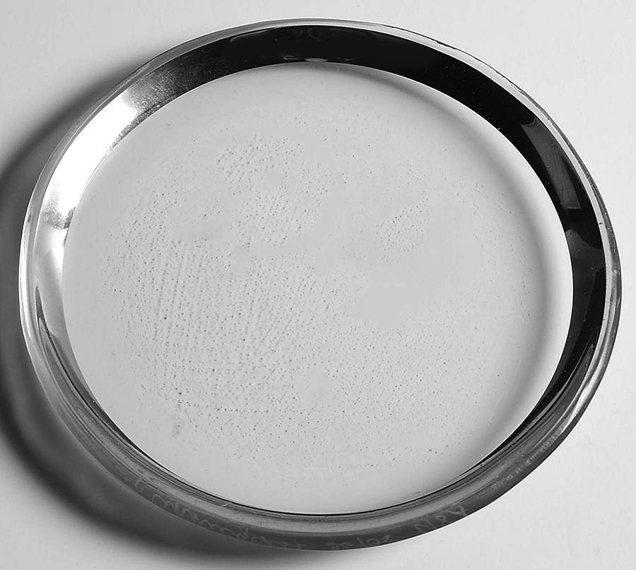 Roman Antique Platinum Appetizer Plate by Annieglass-1