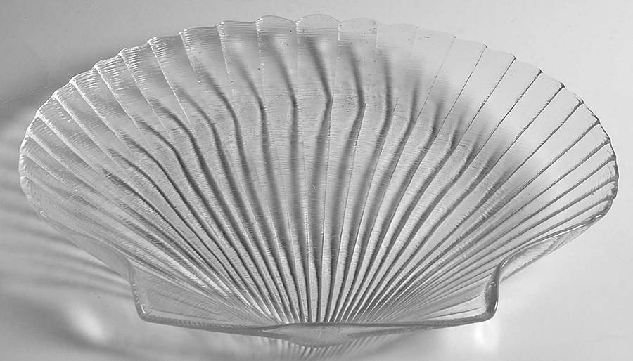 Coquillage Dinner Plate by Arcoroc-1