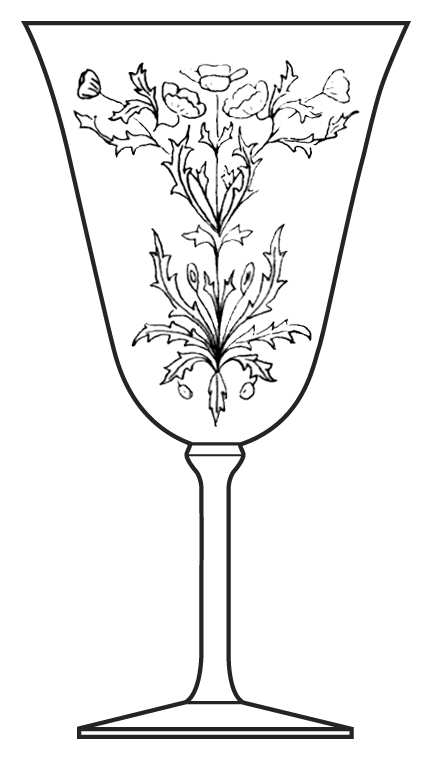 Etch 456 Water Goblet by Bryce-1