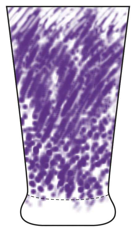 Trilogy Violet Highball Glass by Block-1
