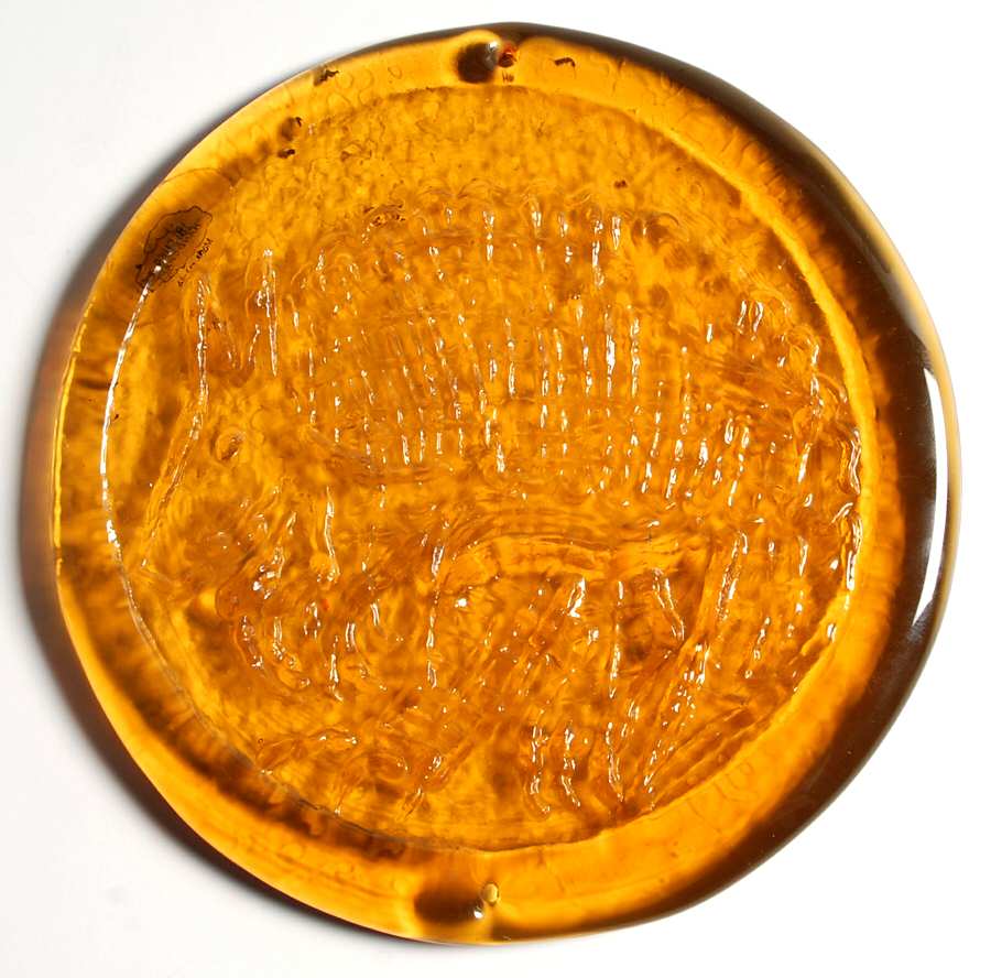 Animals & Figurines #65H Armadillo Decorative Disk by Blenko-1