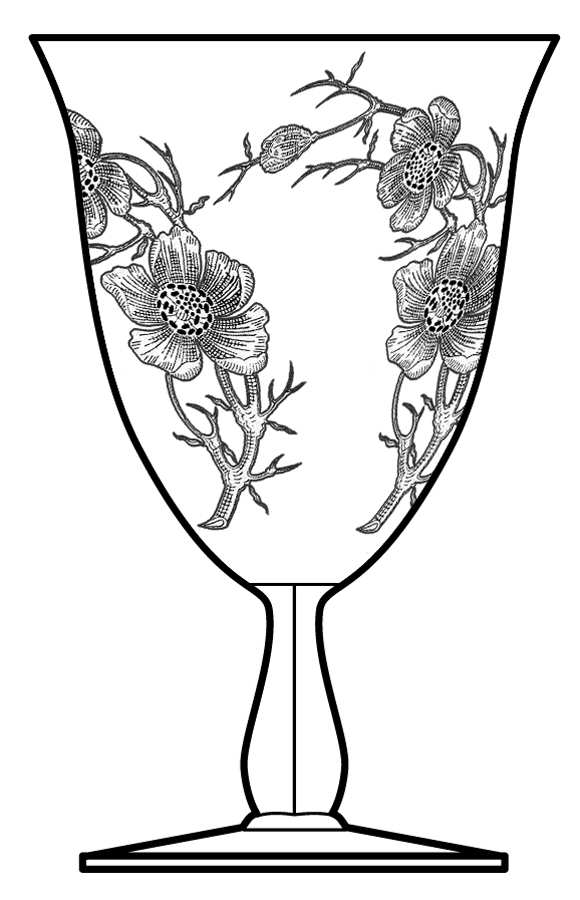 Magnolia Clear Water Goblet by Cambridge-1