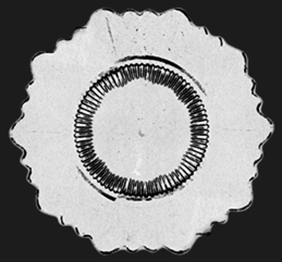 Martha Clear Martha-125 10" Service Plate by Cambridge-1