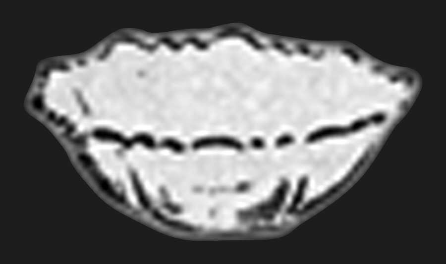 Martha Clear Martha/174 Cranberry Bowl by Cambridge-1