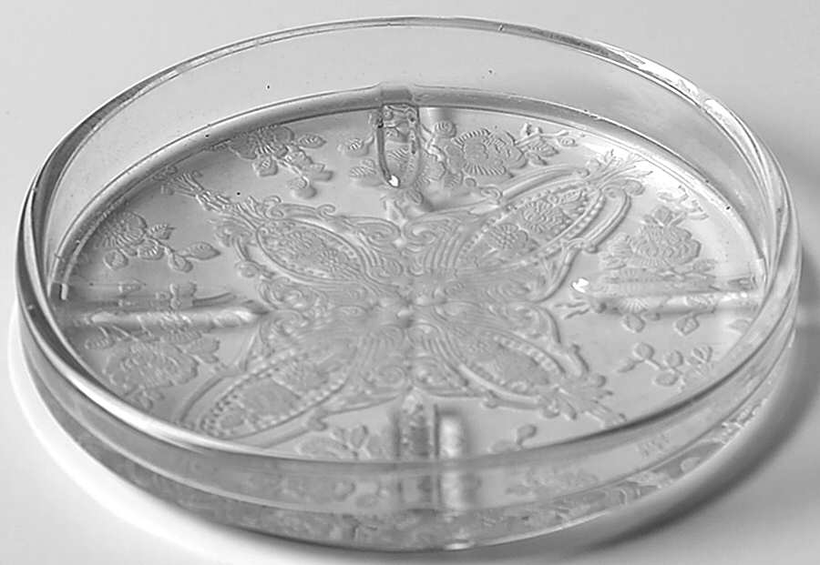 Rose Point Clear Coaster by Cambridge-1