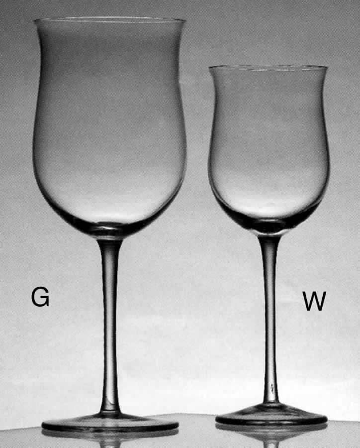 CF12 (Clear) Water Goblet by Casafina-1