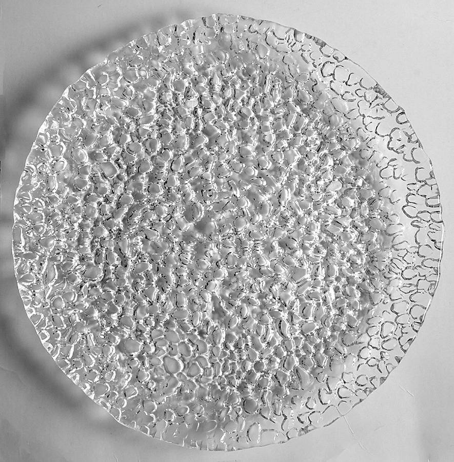 Riviera Dinner Plate by Crate & Barrel-1