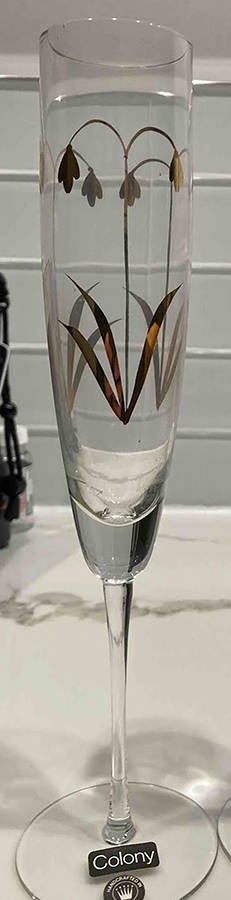 COL42 Fluted Champagne by Colony-1