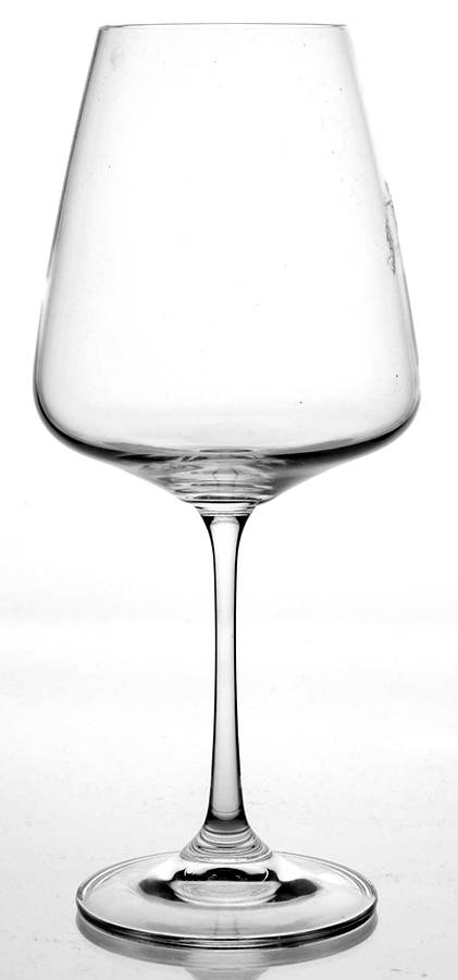 Vine Water Goblet by Costa Nova Crystal-1