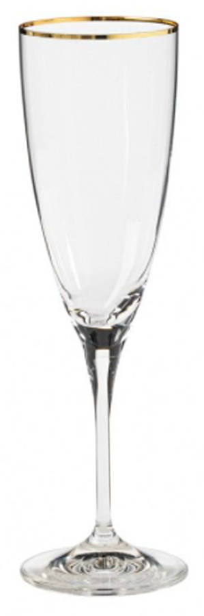 Sensa Gold Trim Fluted Champagne by Casafina-1