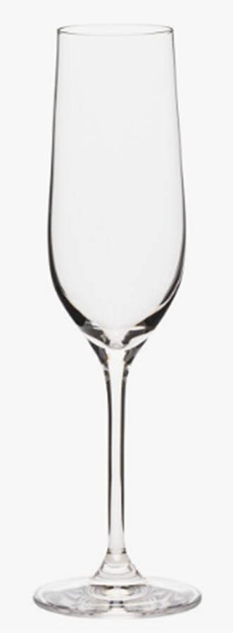 Alice Fluted Champagne by Costa Nova Crystal-1