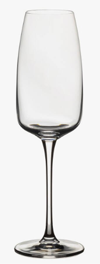 Isabel Fluted Champagne by Costa Nova Crystal-1