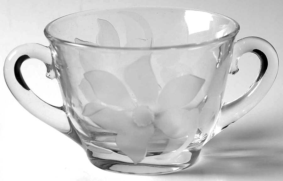 Clematis Open Sugar by Duncan & Miller-1