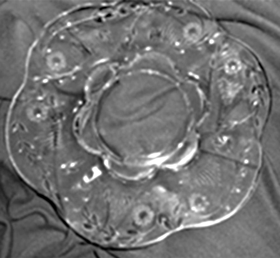 Maytime Canterbury Shape Plate by Duncan & Miller-1