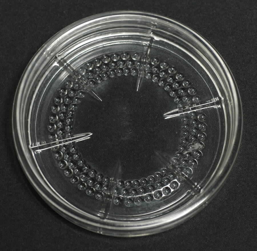 Teardrop Clear (Stem 5301 301) Coaster by Duncan & Miller-1