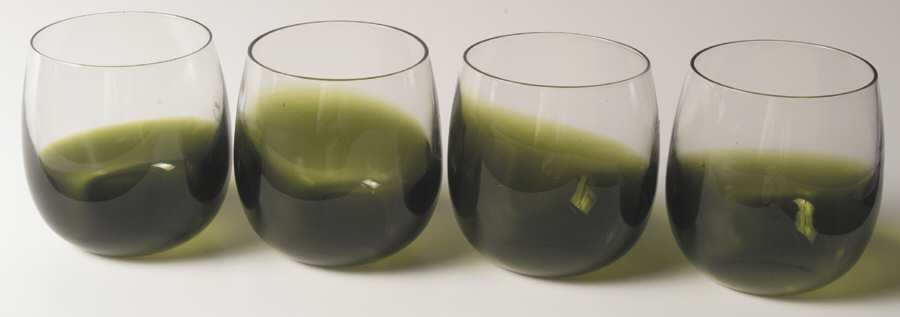 Glasscapes Lime Green 10 Oz Flat Tumbler - Set of 4 by Dansk-1