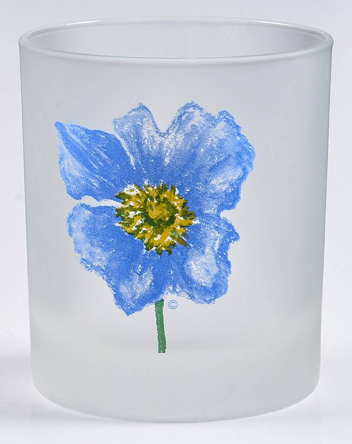 Spring Time Flowers Double Old Fashioned by Dartington-1