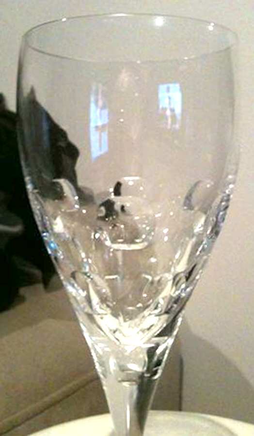 Bubble Wine Glass by Da Vinci-1