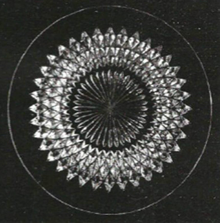 695CD Dinner Plate by Davidson Glass-1