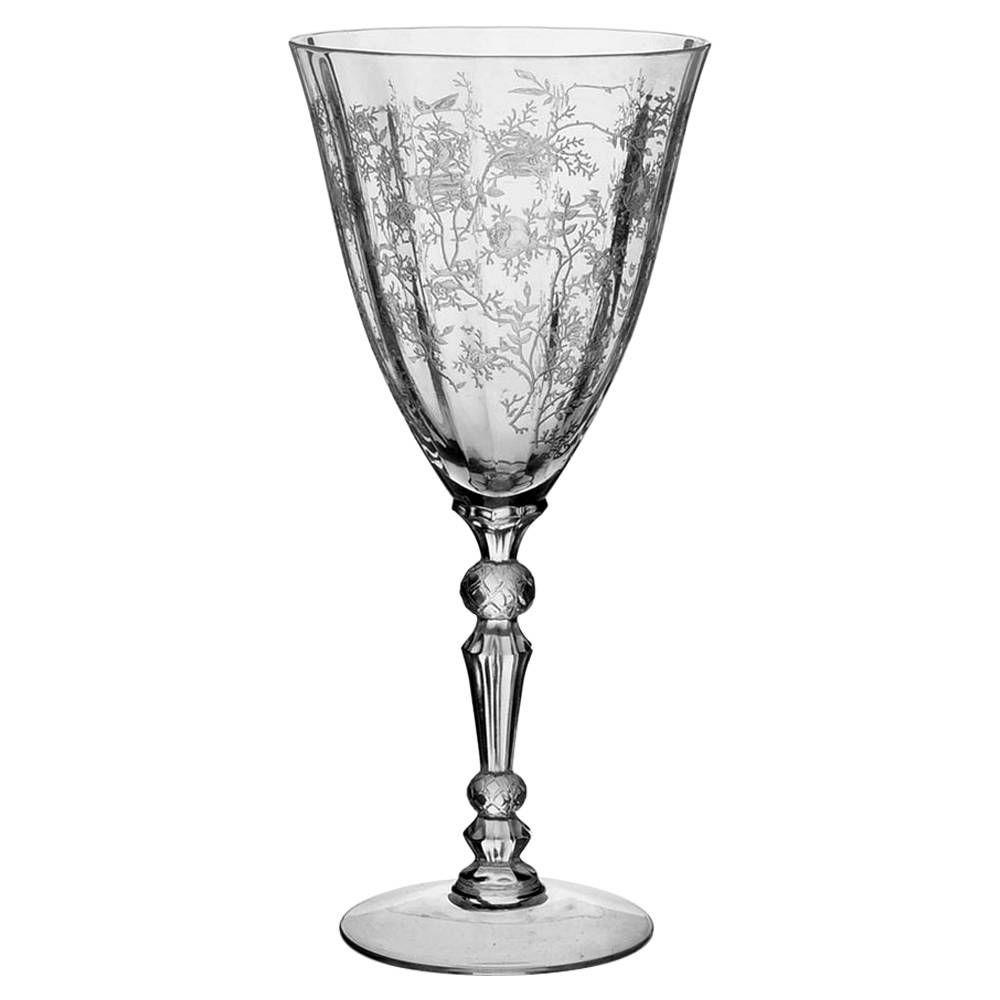 Chintz (Etched) Water Goblet by Fostoria-1