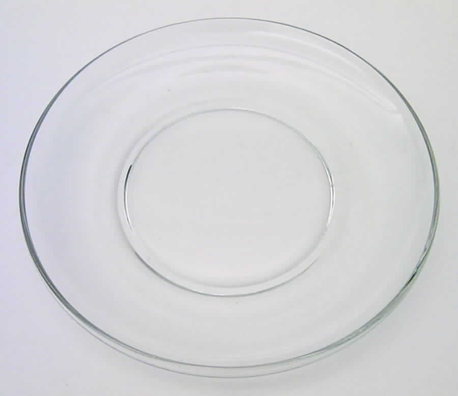 Contour Clear Dinner Plate by Fostoria-1