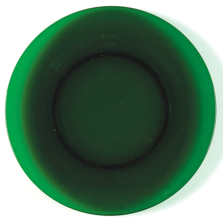 Westchester Green Dinner Plate by Fostoria-1