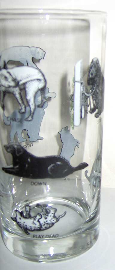 Dog Glass Flat Tumbler by Fishs Eddy-1