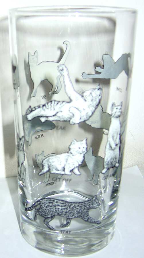 Cat Glass Flat Tumbler by Fishs Eddy-1