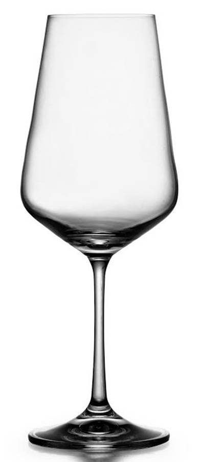 Sarah Water Goblet by Fitz & Floyd-1