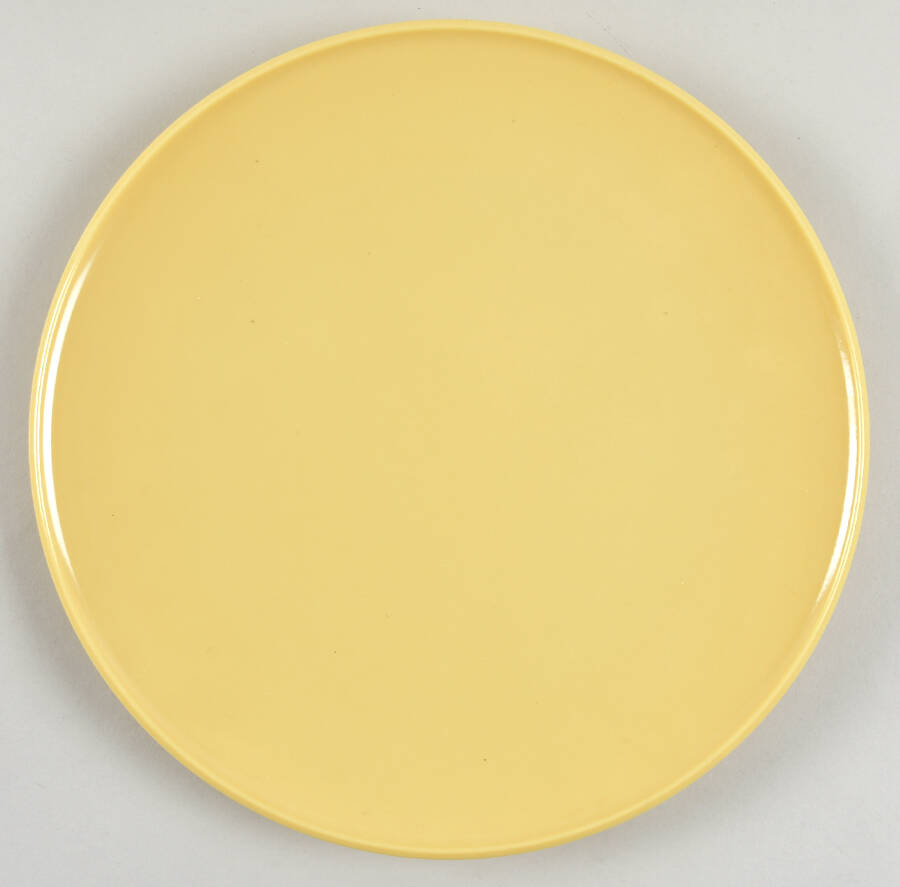 Casual Flair Melamine Dinner Plate by Fostoria-1