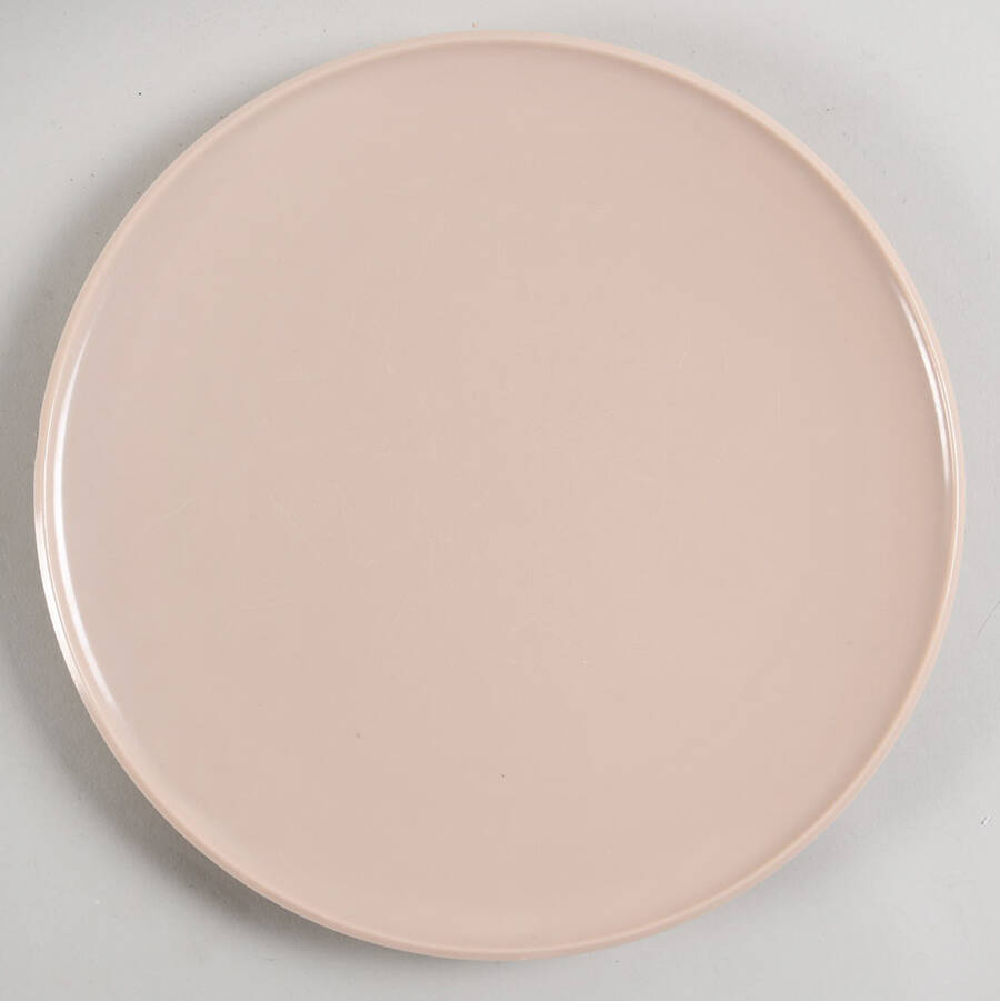 Casual Flair Melamine Dinner Plate by Fostoria-1