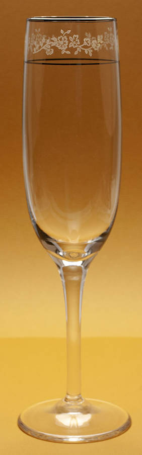 Rondelle (Etched Bowl, Platinum Trim) Fluted Champagne by Gorham Crystal-1